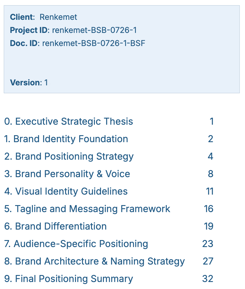 Screenshot of the front page of brand strategic framework.