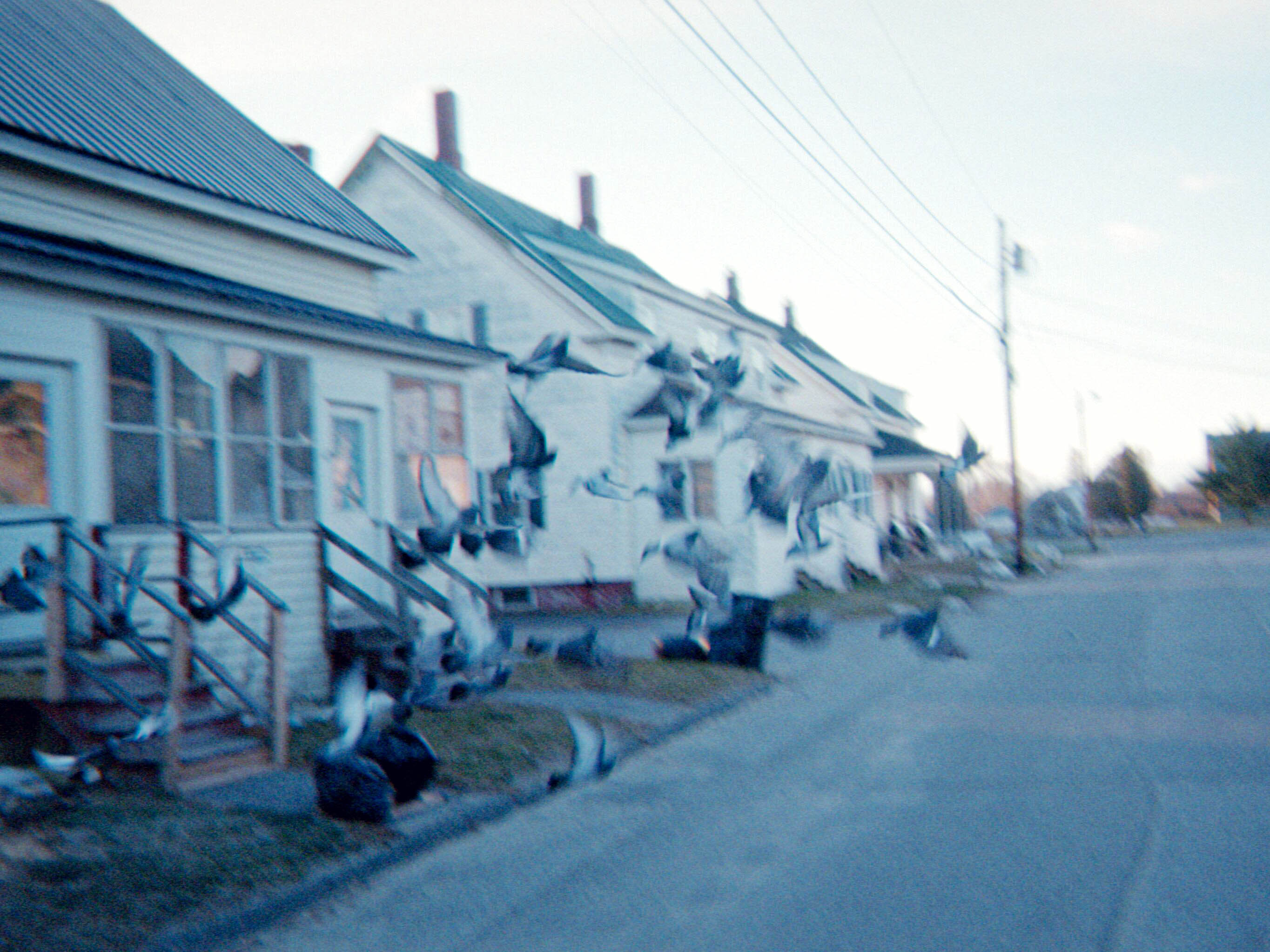 Photograph title Copy Copy Copy Copy Copy Copy Copy Copy Copy Copy