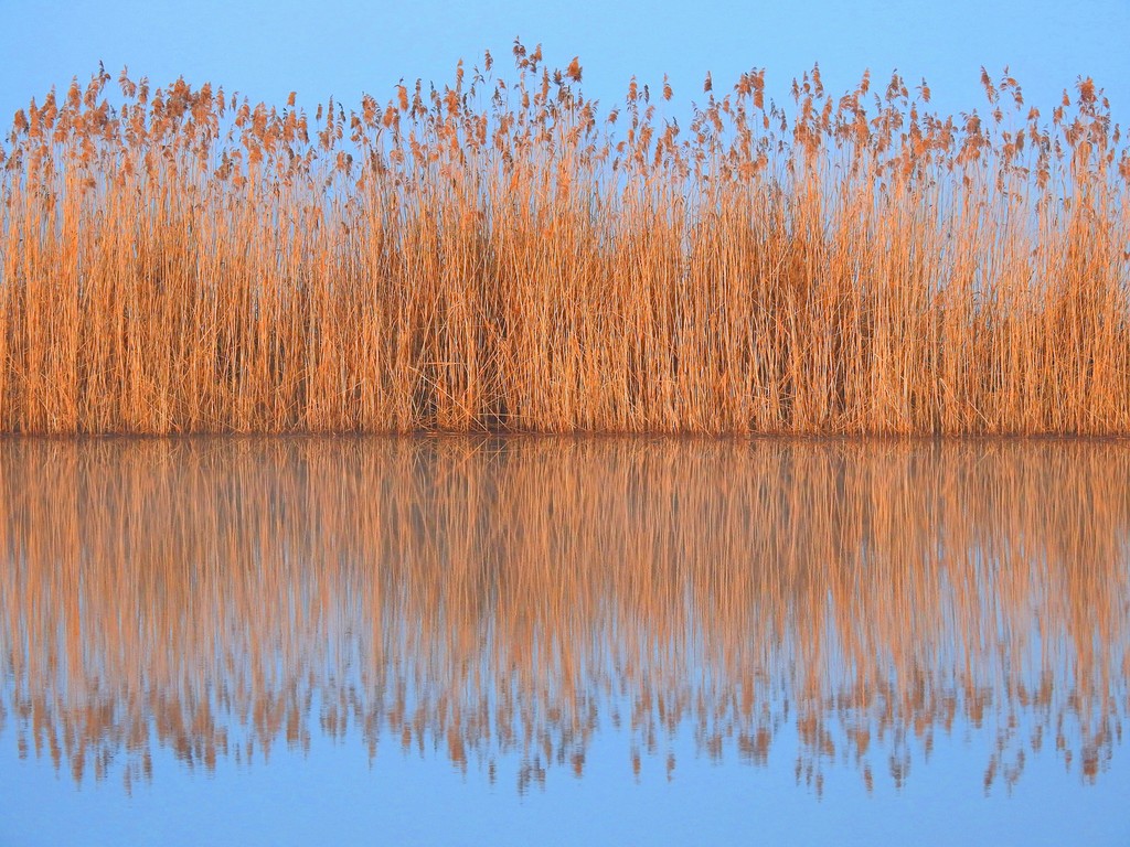 A person lying on a massage table, their face covered with a towel, bathed in warm golden light. The setting exudes relaxation and comfort.
