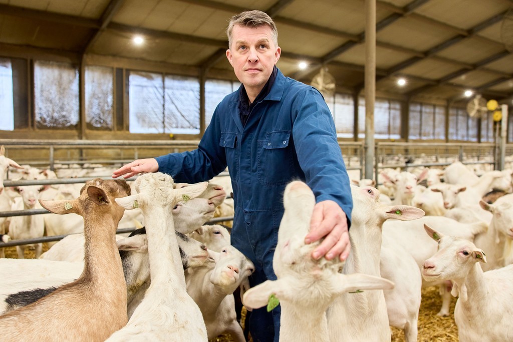 De Klomp dierenarts