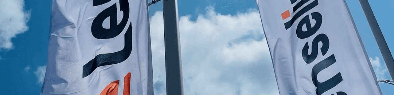 Lenselink vlaggen