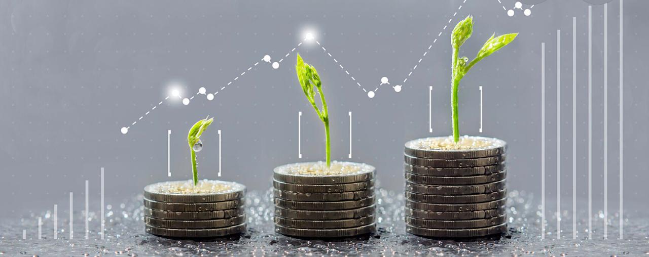 Close-up of lush, dark green leaves, some glossy and wet, against a muted background.