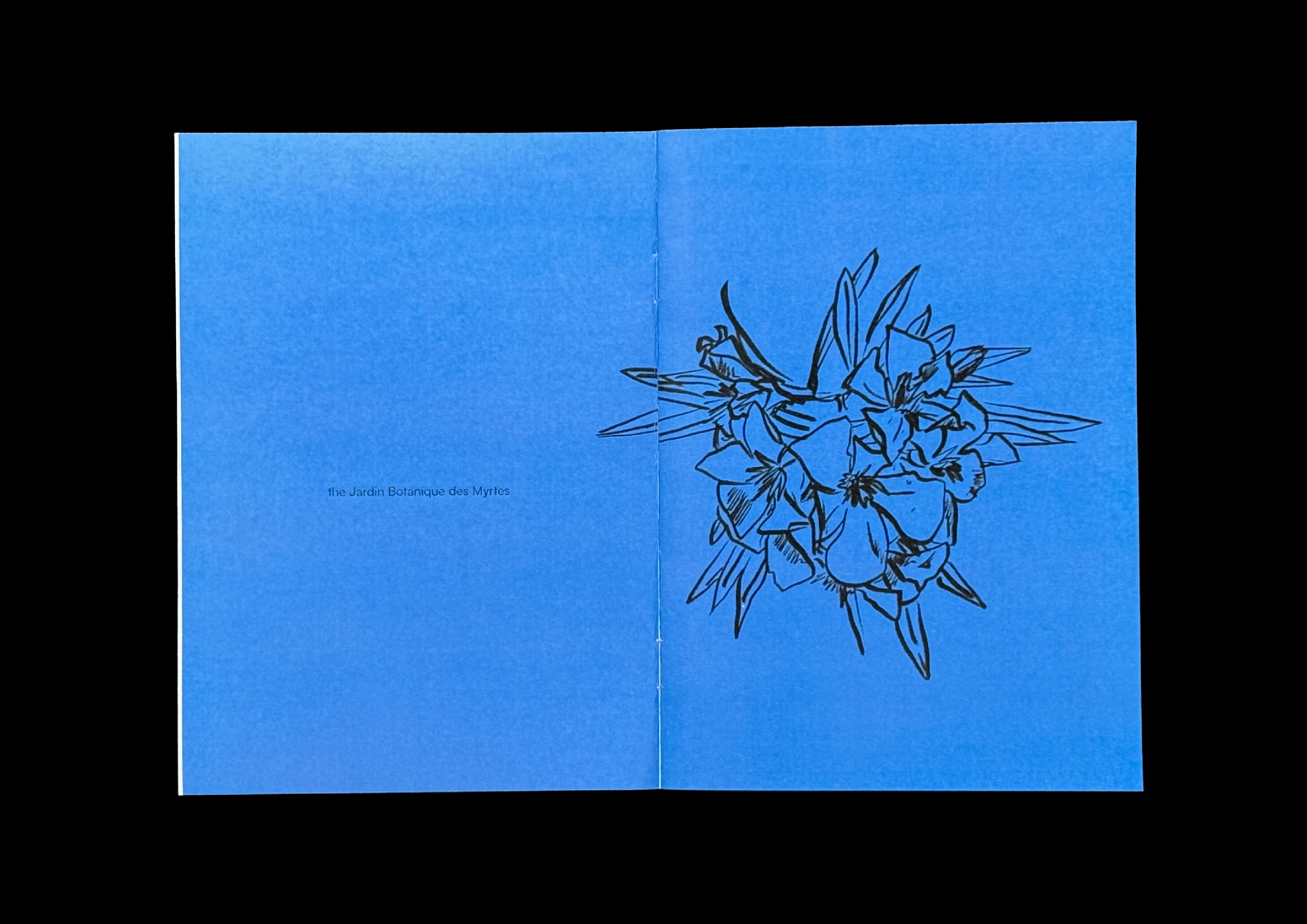 An open booklet on bright blue paper, a single line of small type on the left page and an ink drawing of a flower cluster on the right.