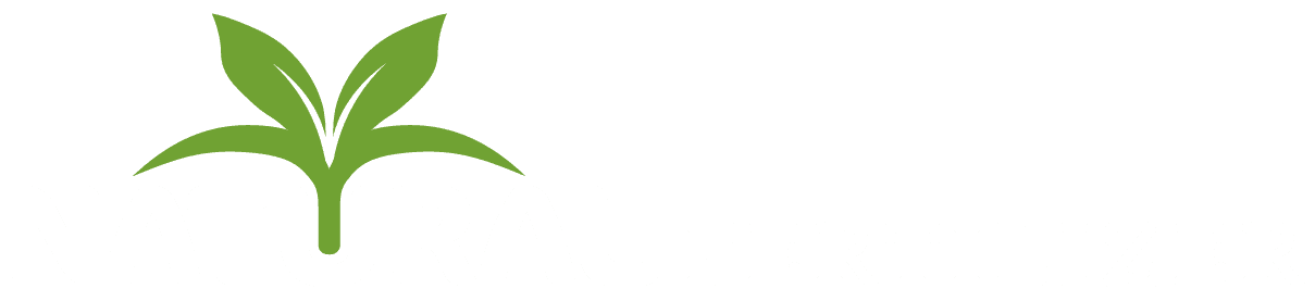 Logo Company