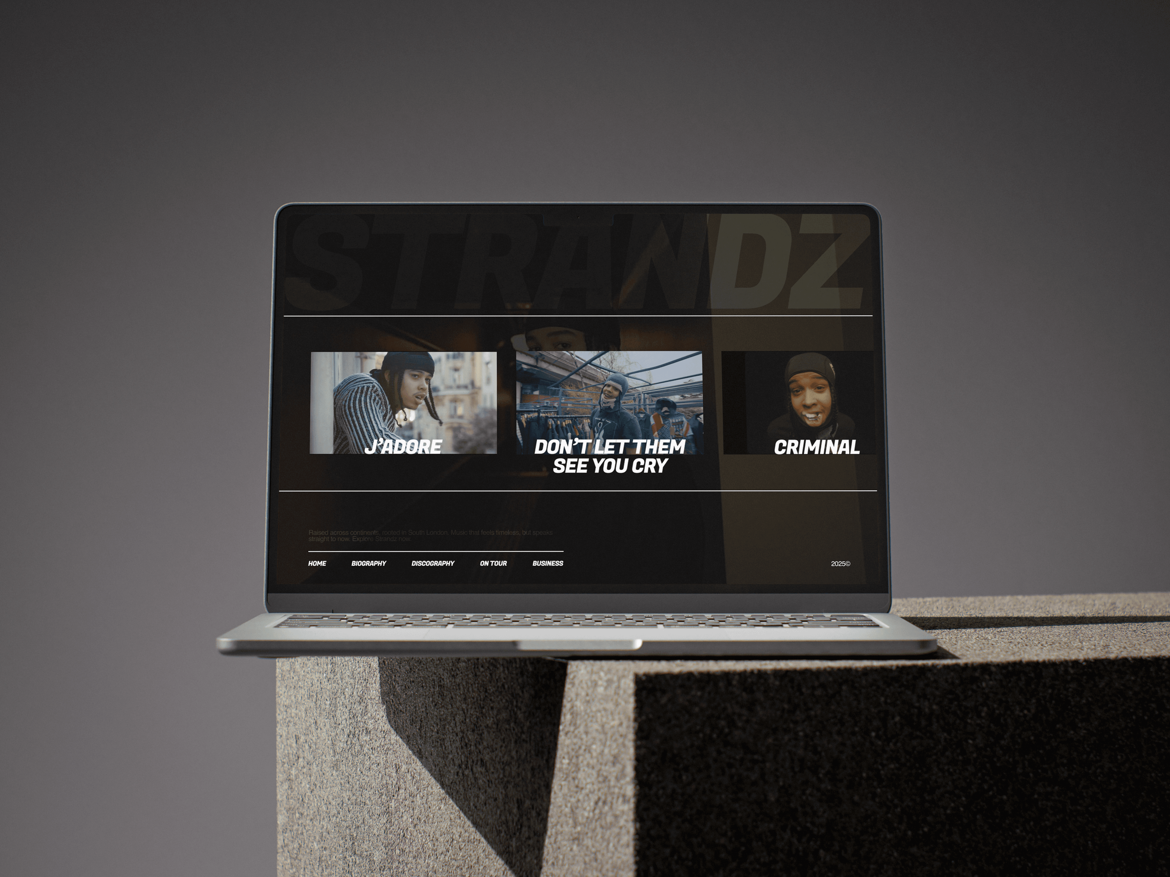 Mockup Strandz Discography page