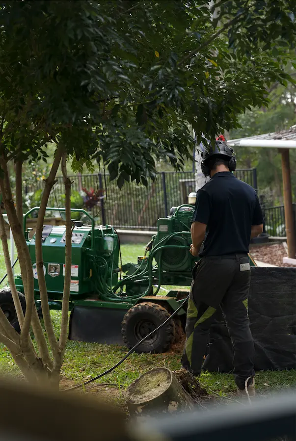 Operator using a stump grinder beside a fence