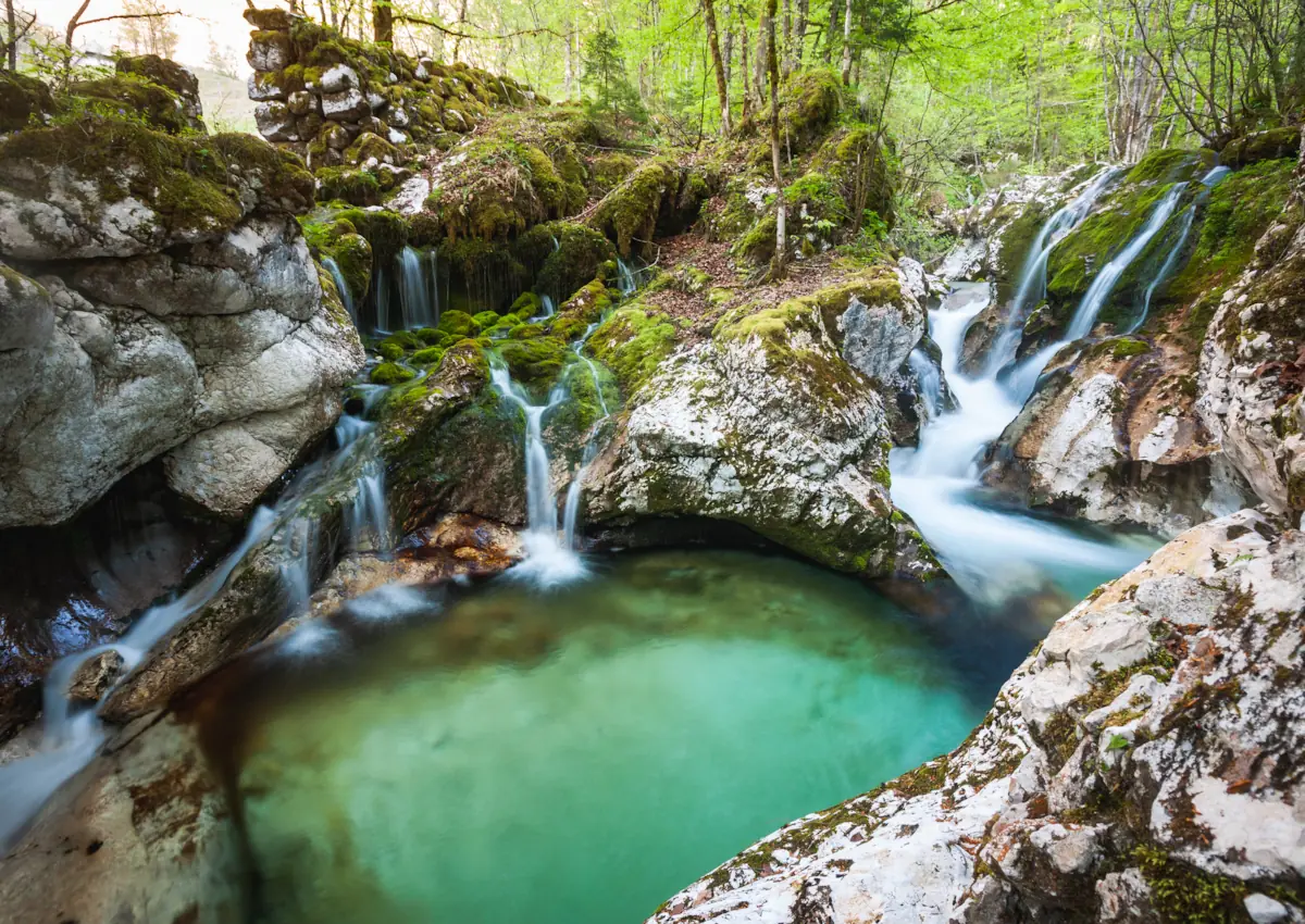 A series of small cascading waterfalls and emerald pools in the mossy, green forest of the Šunik Water Grove in the Lepena Valley.