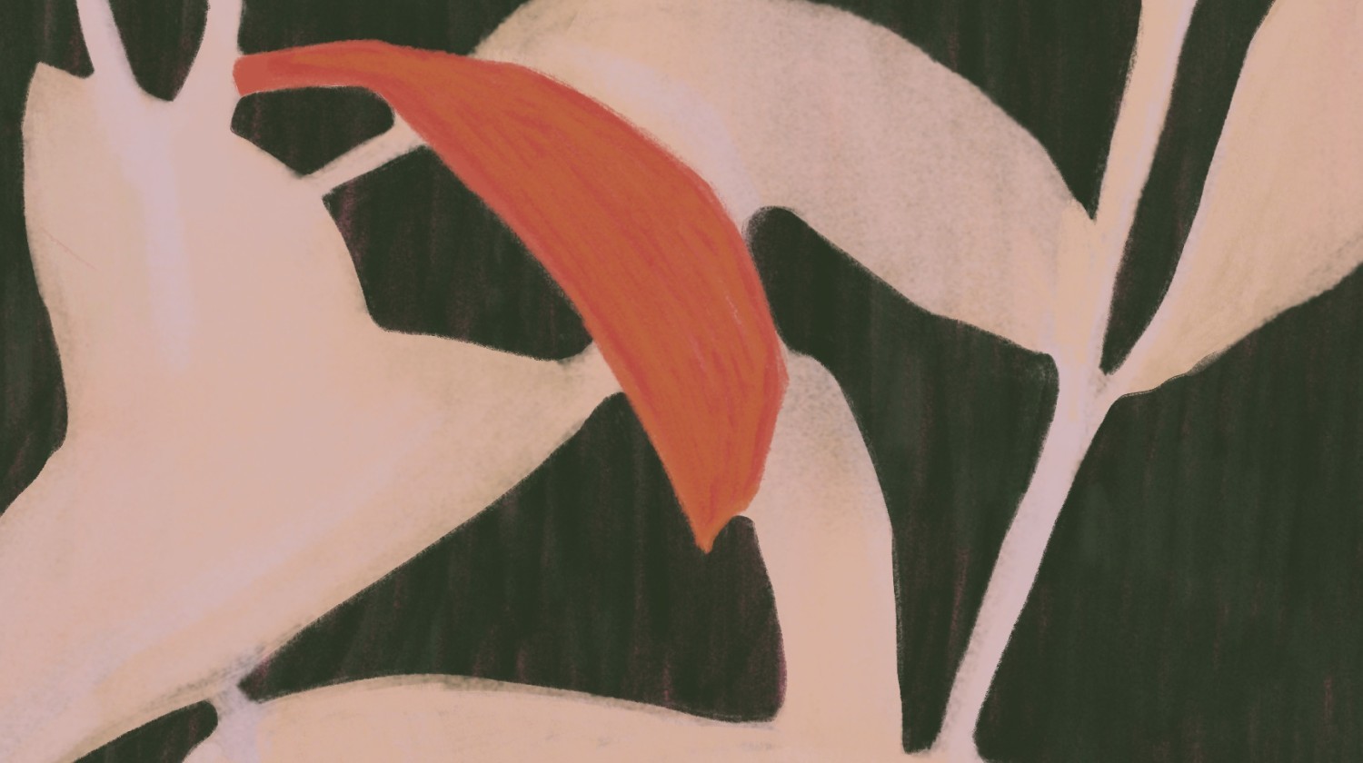 Detail of "Botanical Composition 02" — digital illustration by Katarzyna Księżopolska