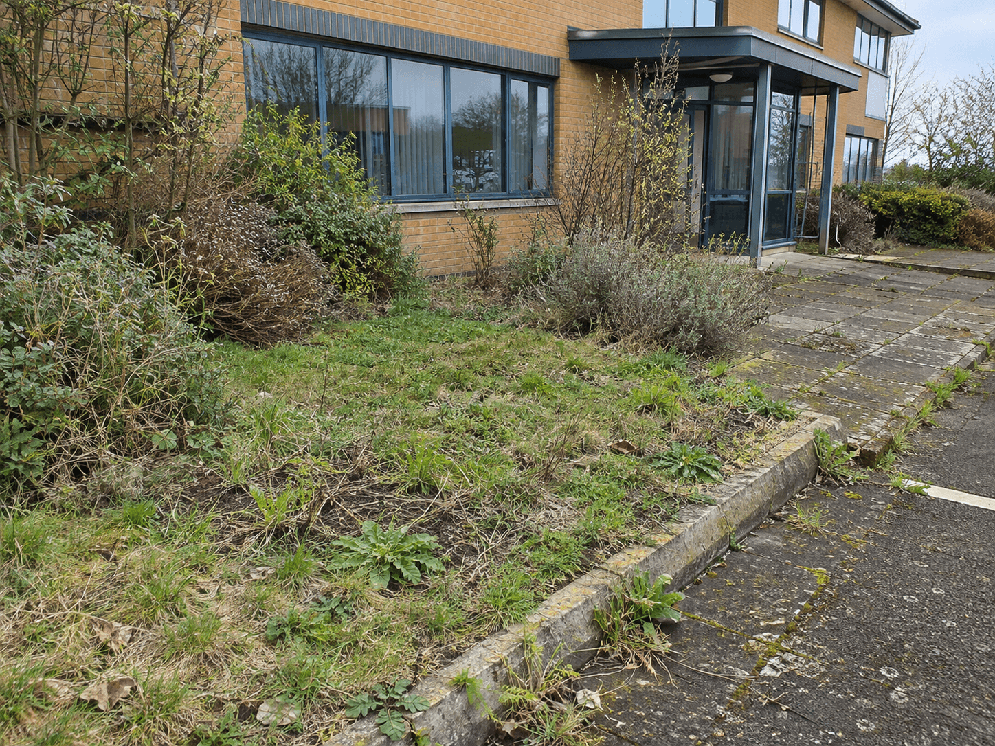 Commercial grounds before maintenance