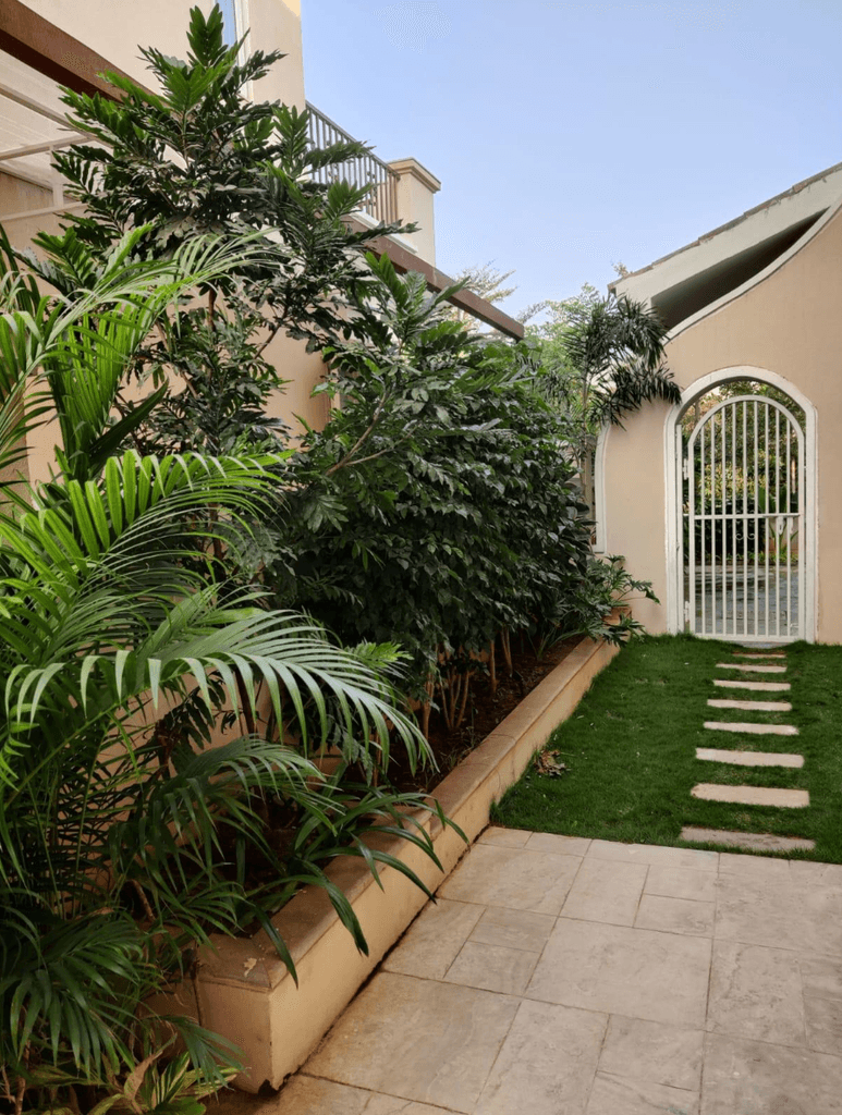 Beautiful Backyard with Lush greent Trees and walk path with grass around