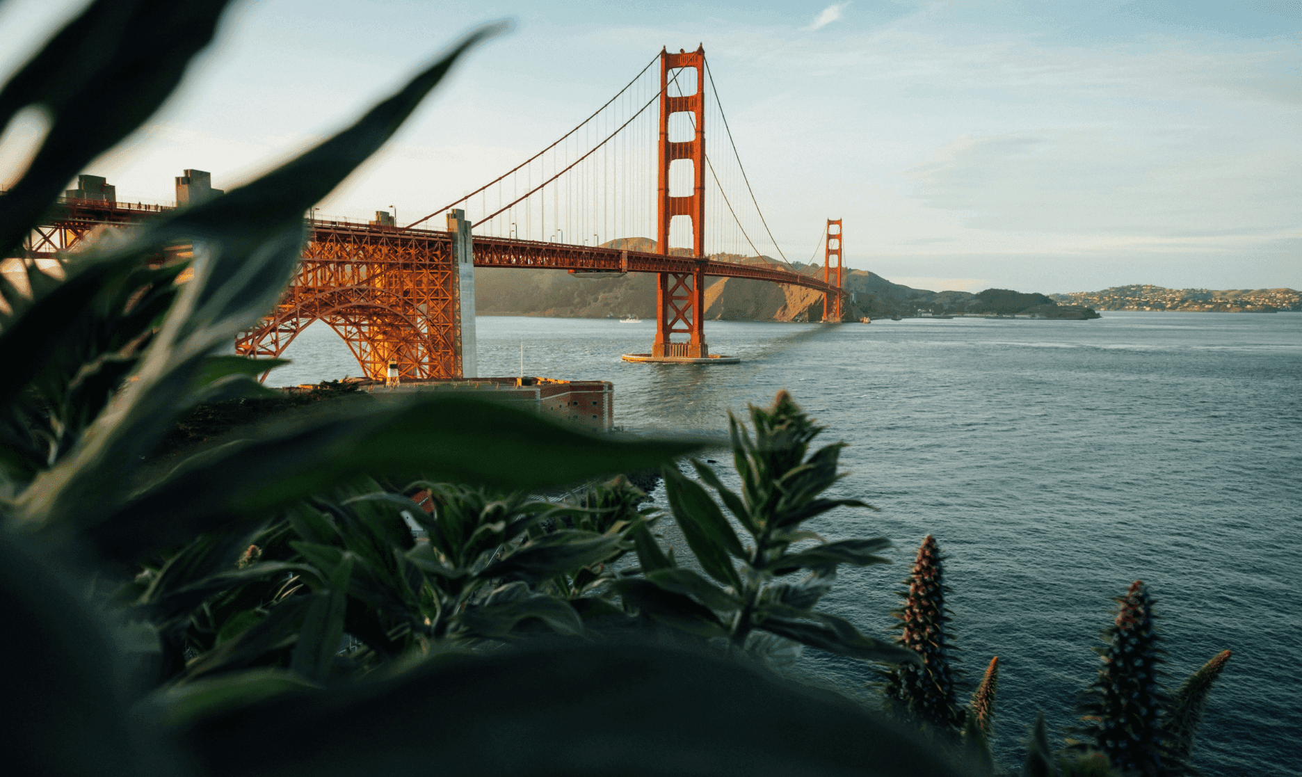 California Bridge Photo