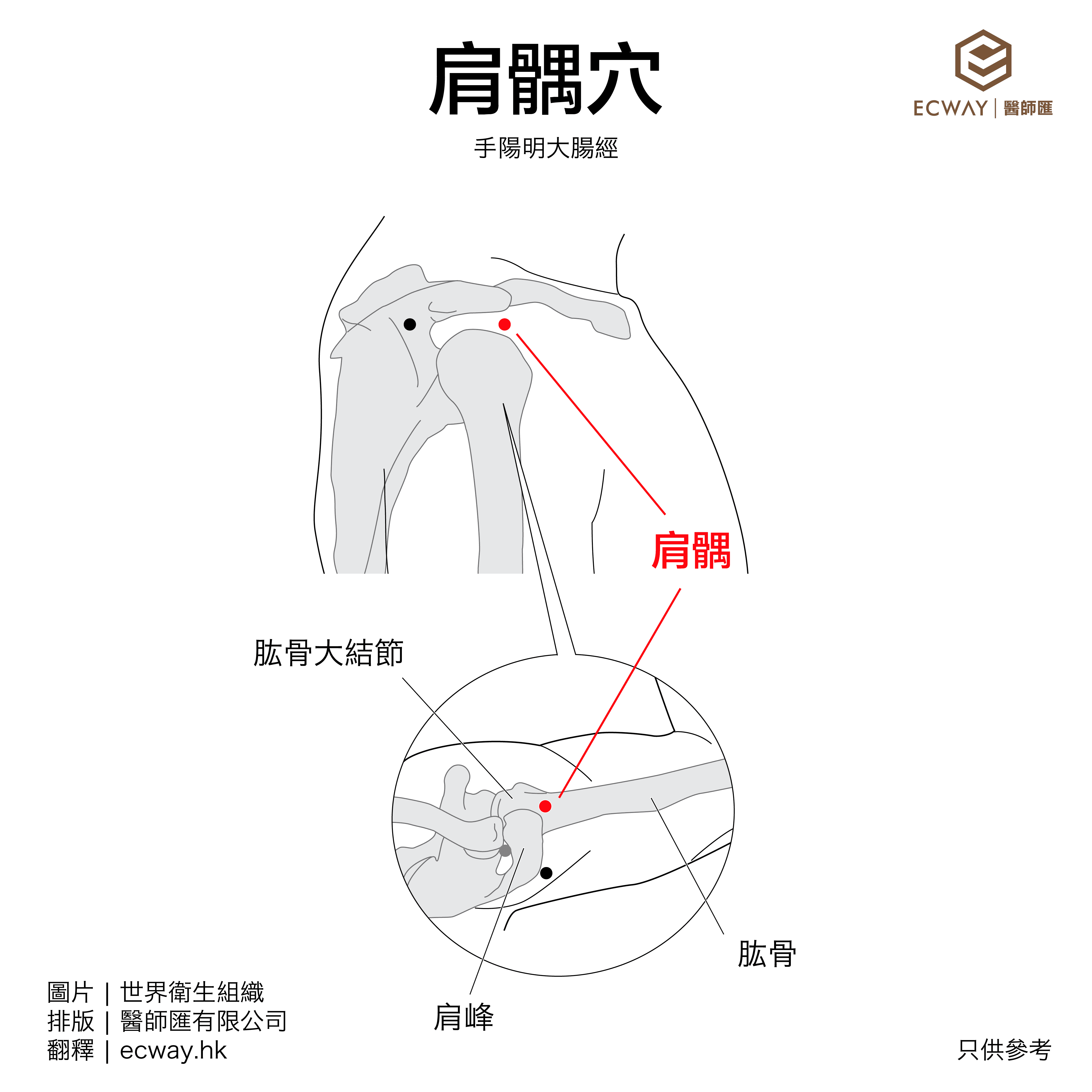 肩髃穴