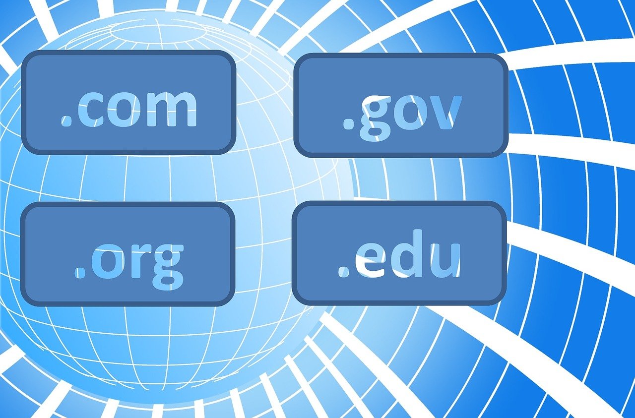 llustration showing top-level domain extensions including .com, .org, .gov, and .edu on a digital globe background, representing types of domain names on the internet