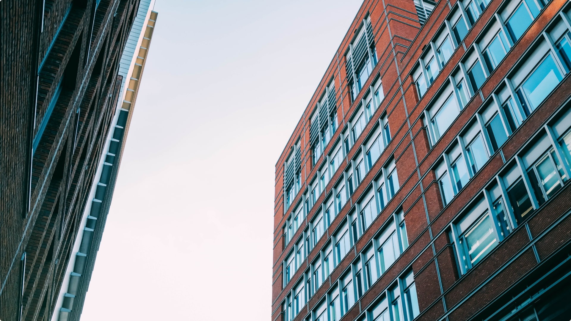 Building Financial Foundations for a Tech Startup