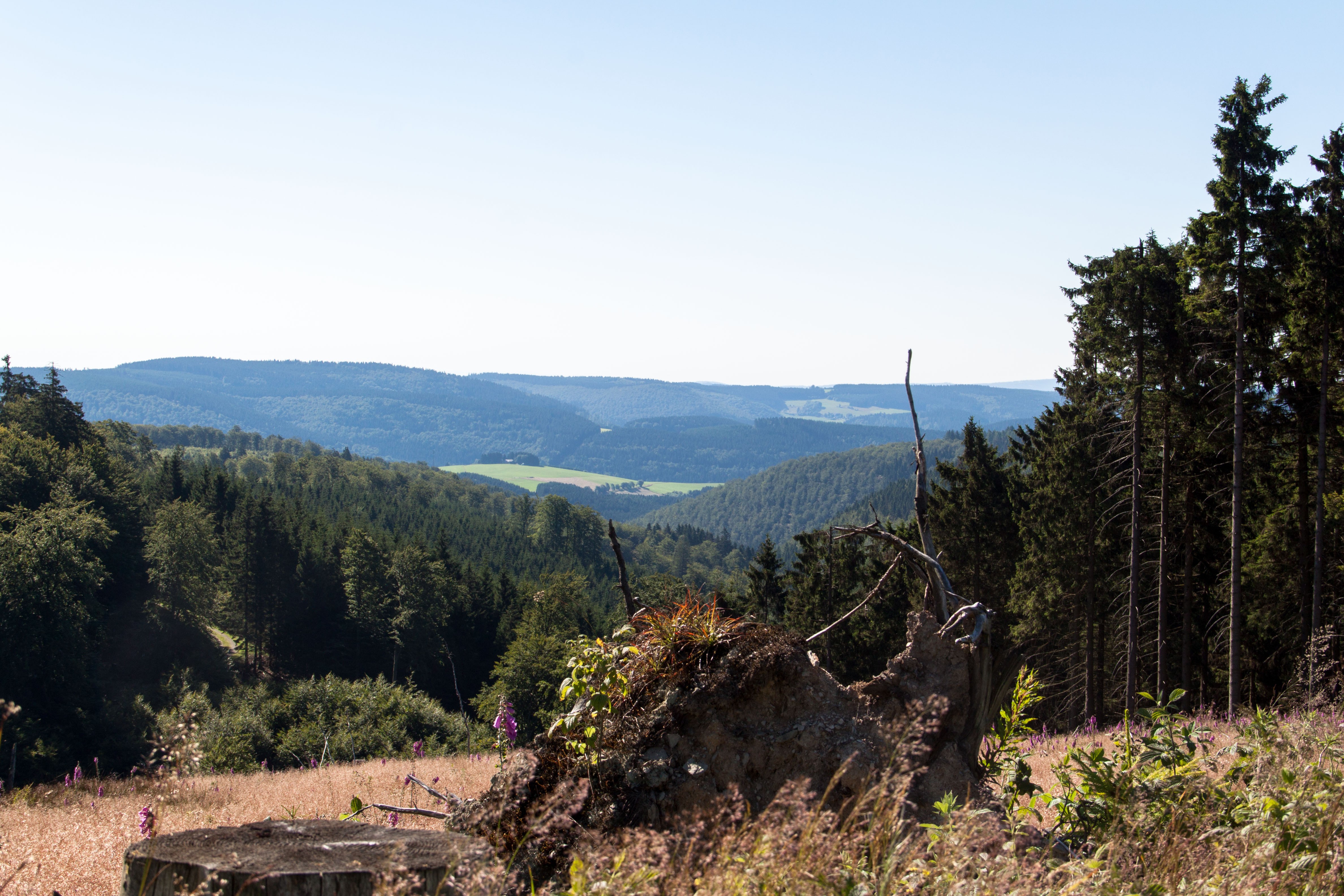 Third Street Promenade