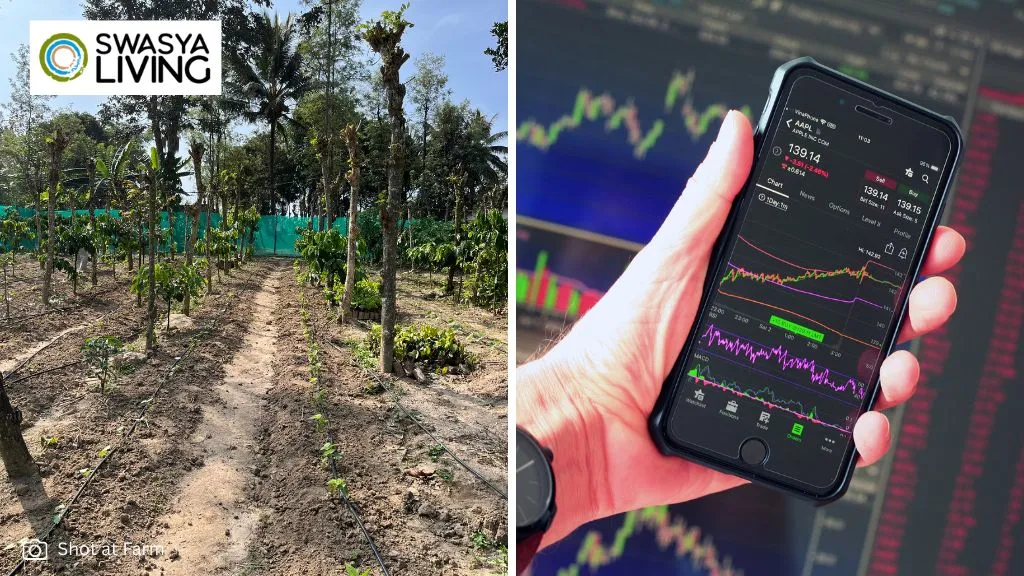 Invest in Land vs Stocks in 2025