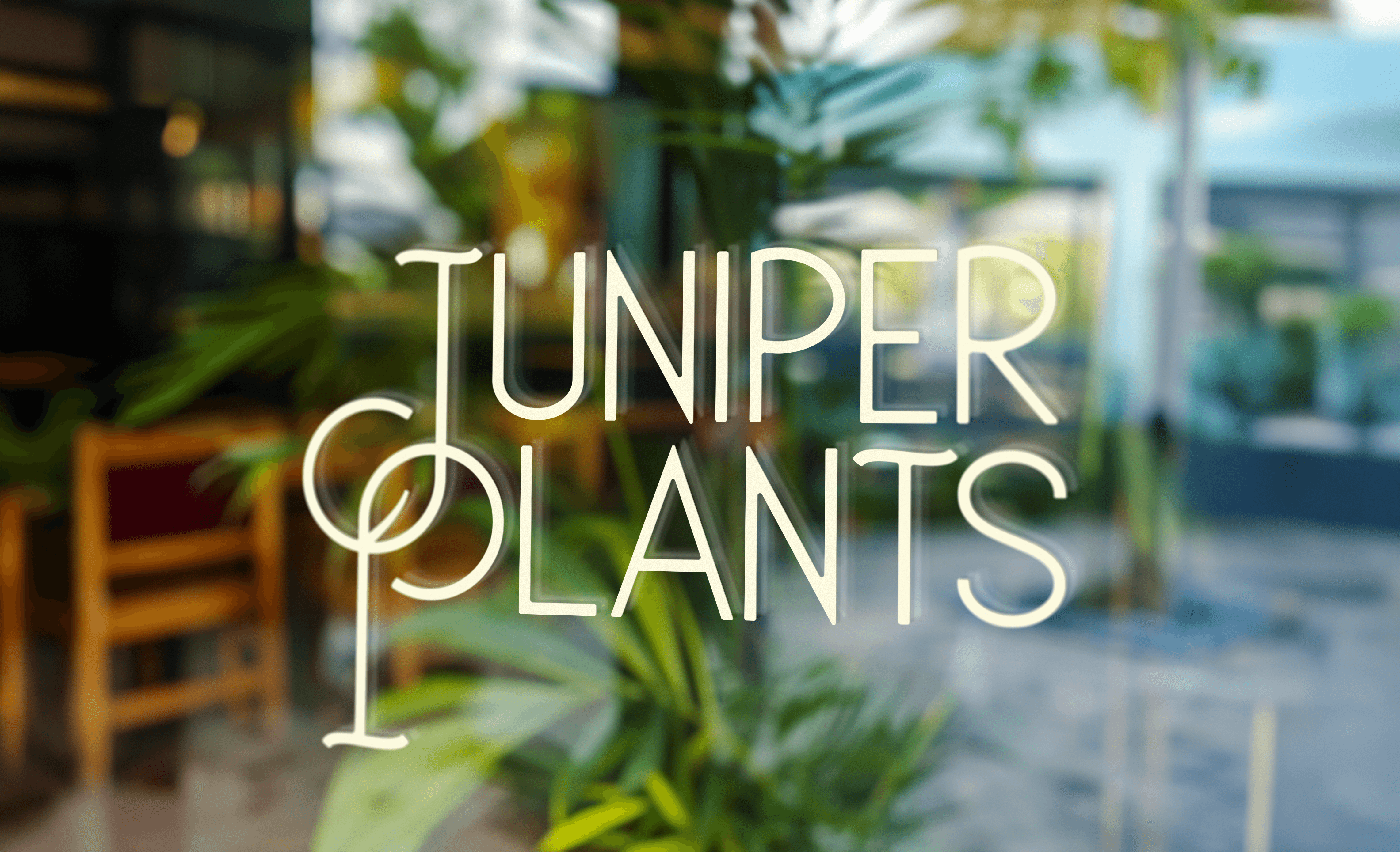 logo on top of leaves