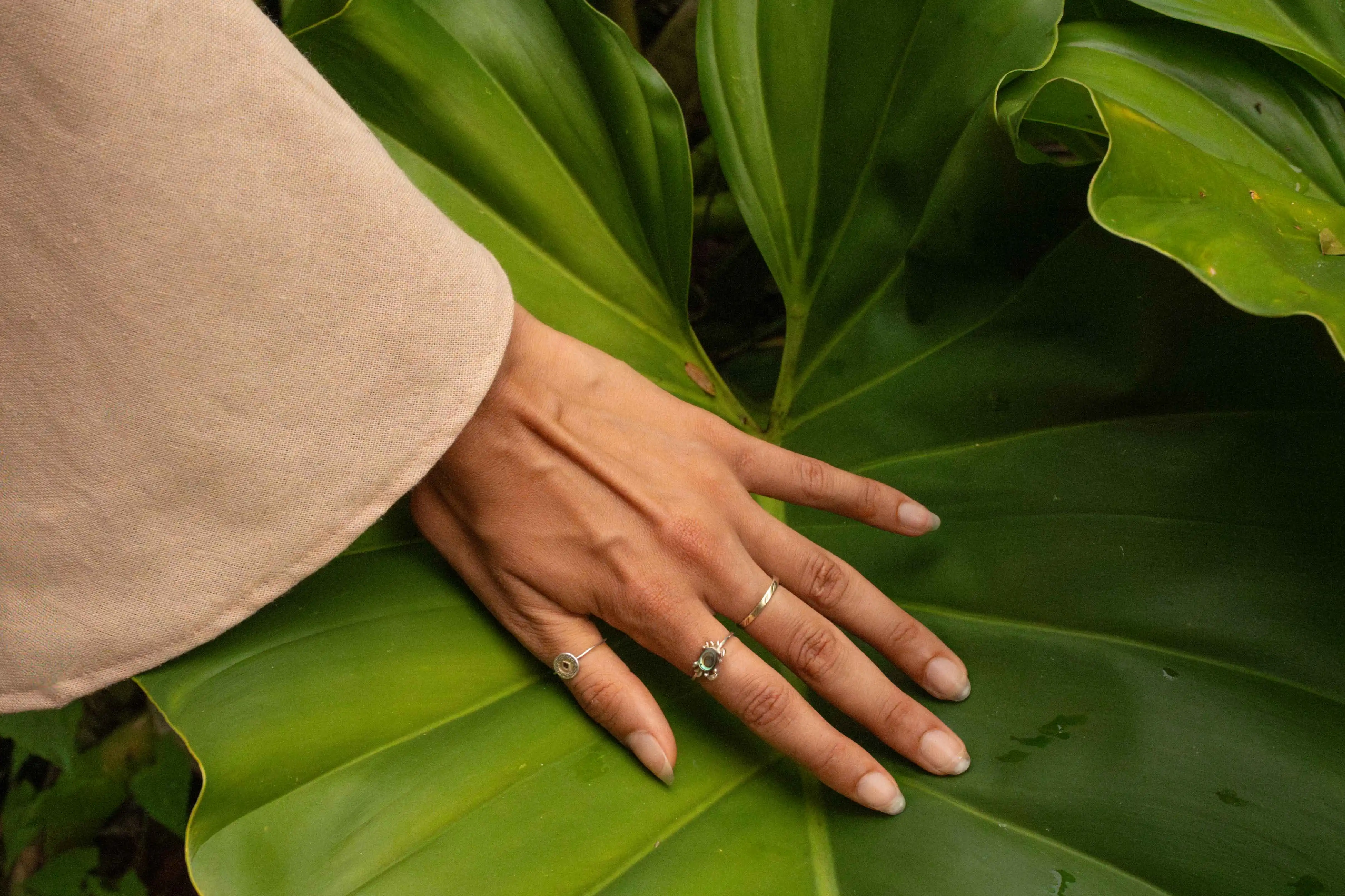 Close up of a hand touching a palm leaf