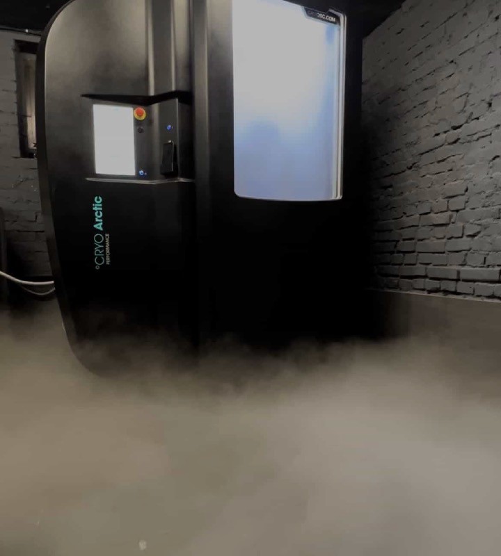 Kriokomora w hotelu Villa Stara Apteka. Hotel dla grup w Srebrnej Górze