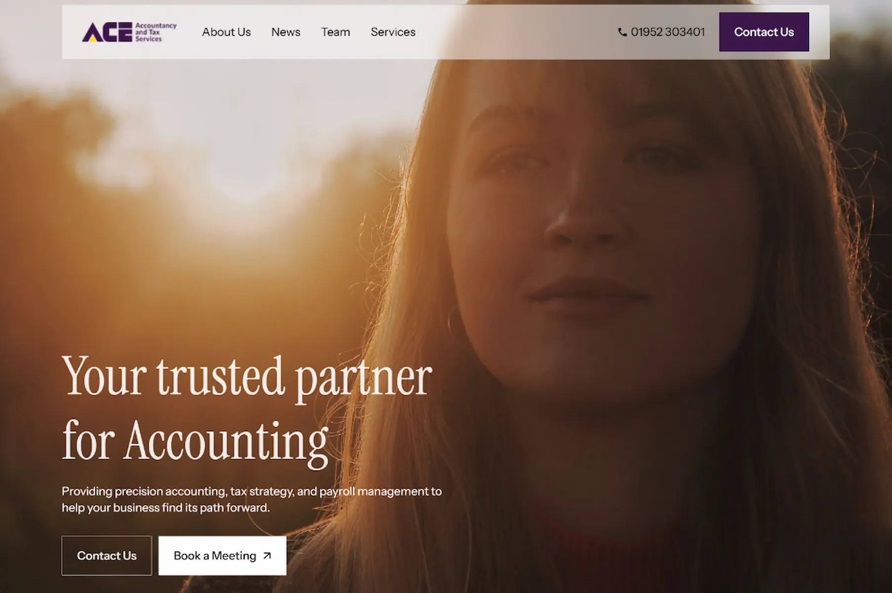 Professional accounting services for business growth. ACE Accounting offers trusted financial and tax strategy advice.