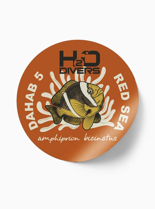 Clownfish sticker