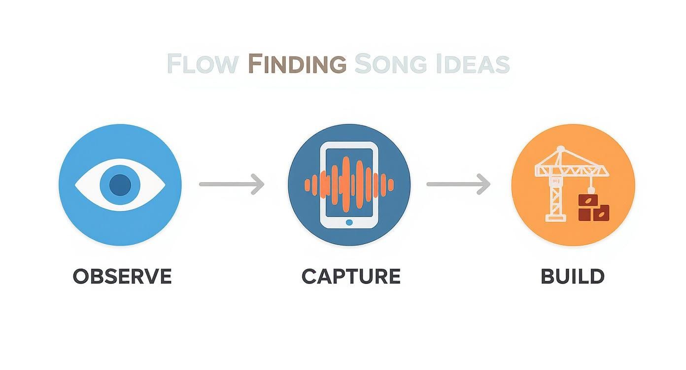 Infographic about how to compose song