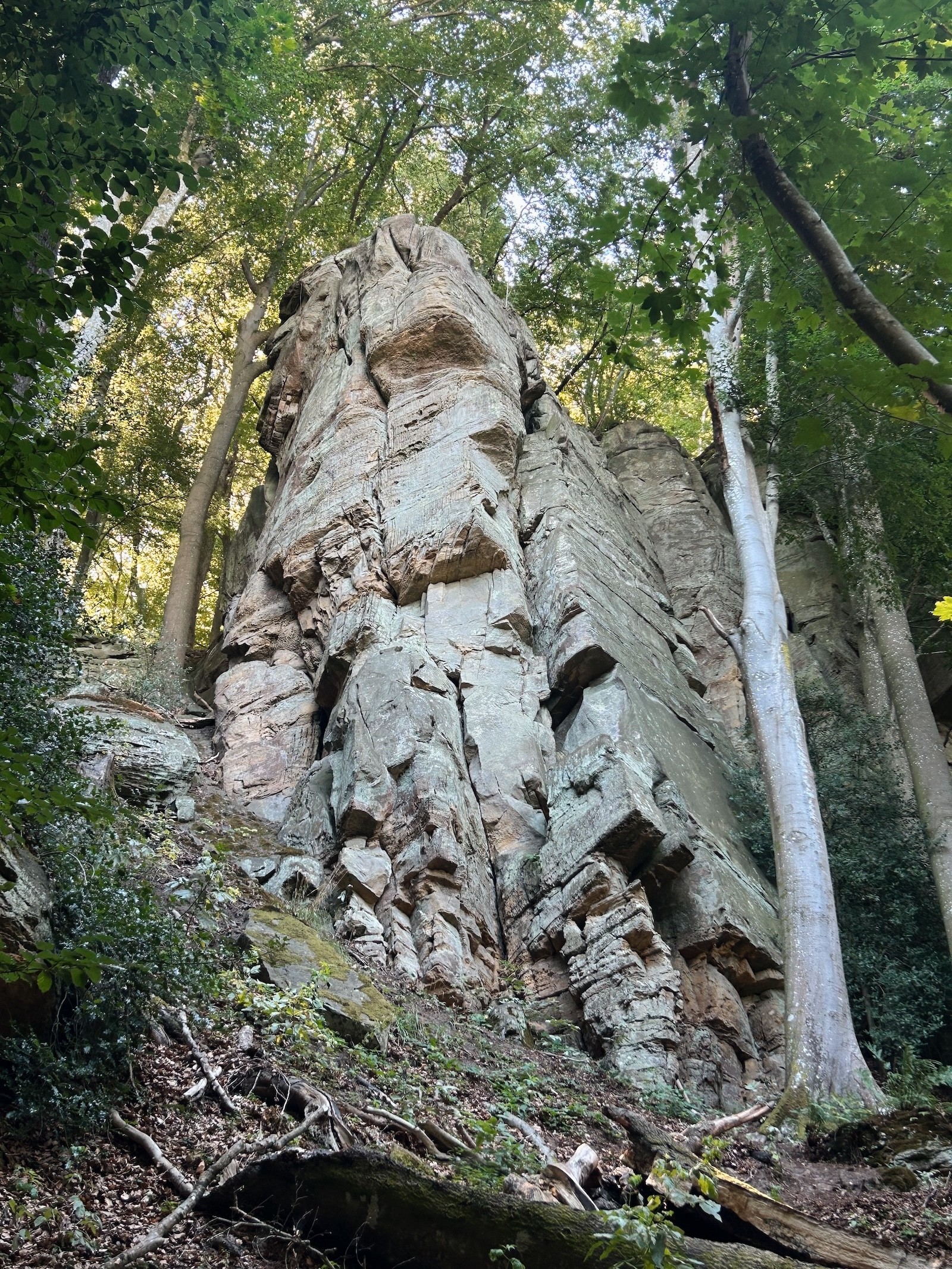 A sandstone pillar on Route 2 of the Mullerthal Trail.
