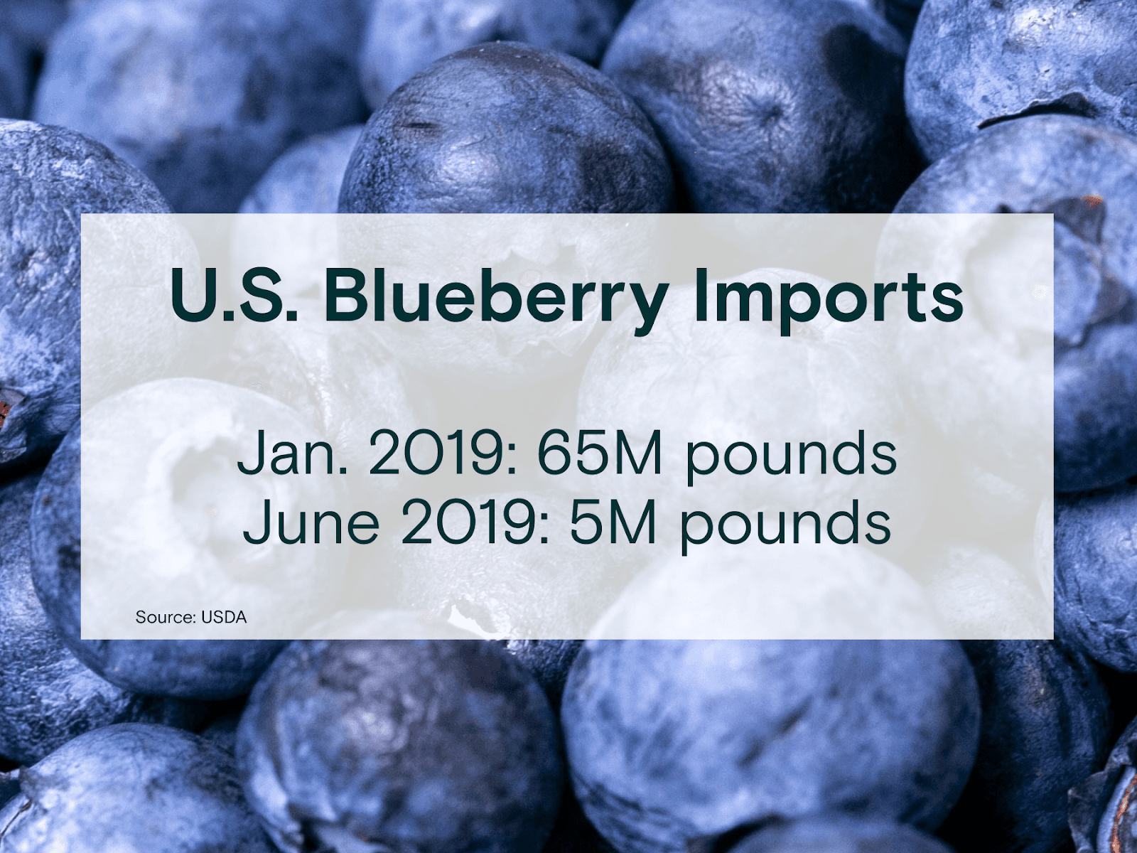 Fresh blueberries with a white box overlaid and black text reading: U.S. Blueberry Imports January 2019: 65M pounds. June 2019: 5M pounds