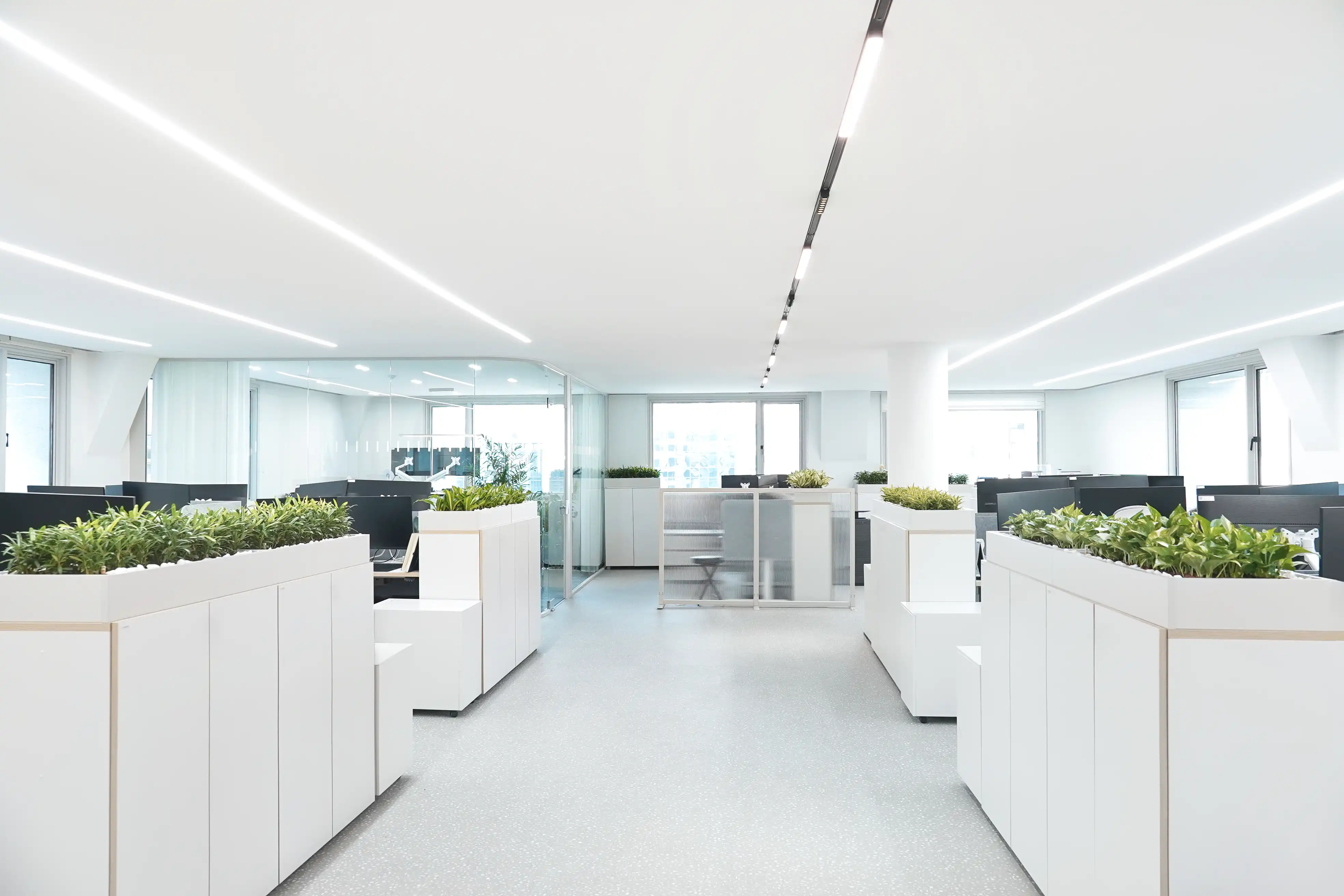 수경식물을 활용한 캐비닛정원