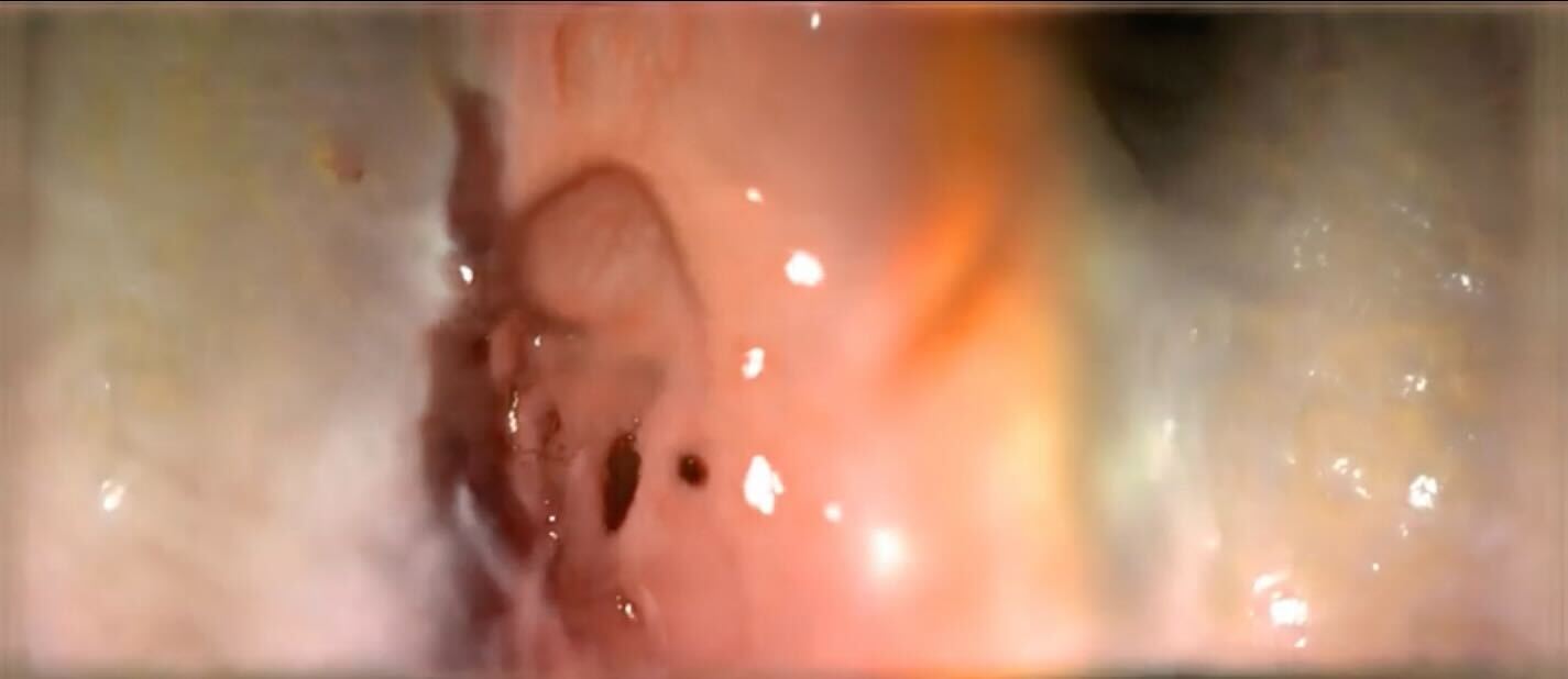 Image courtesy of the artist