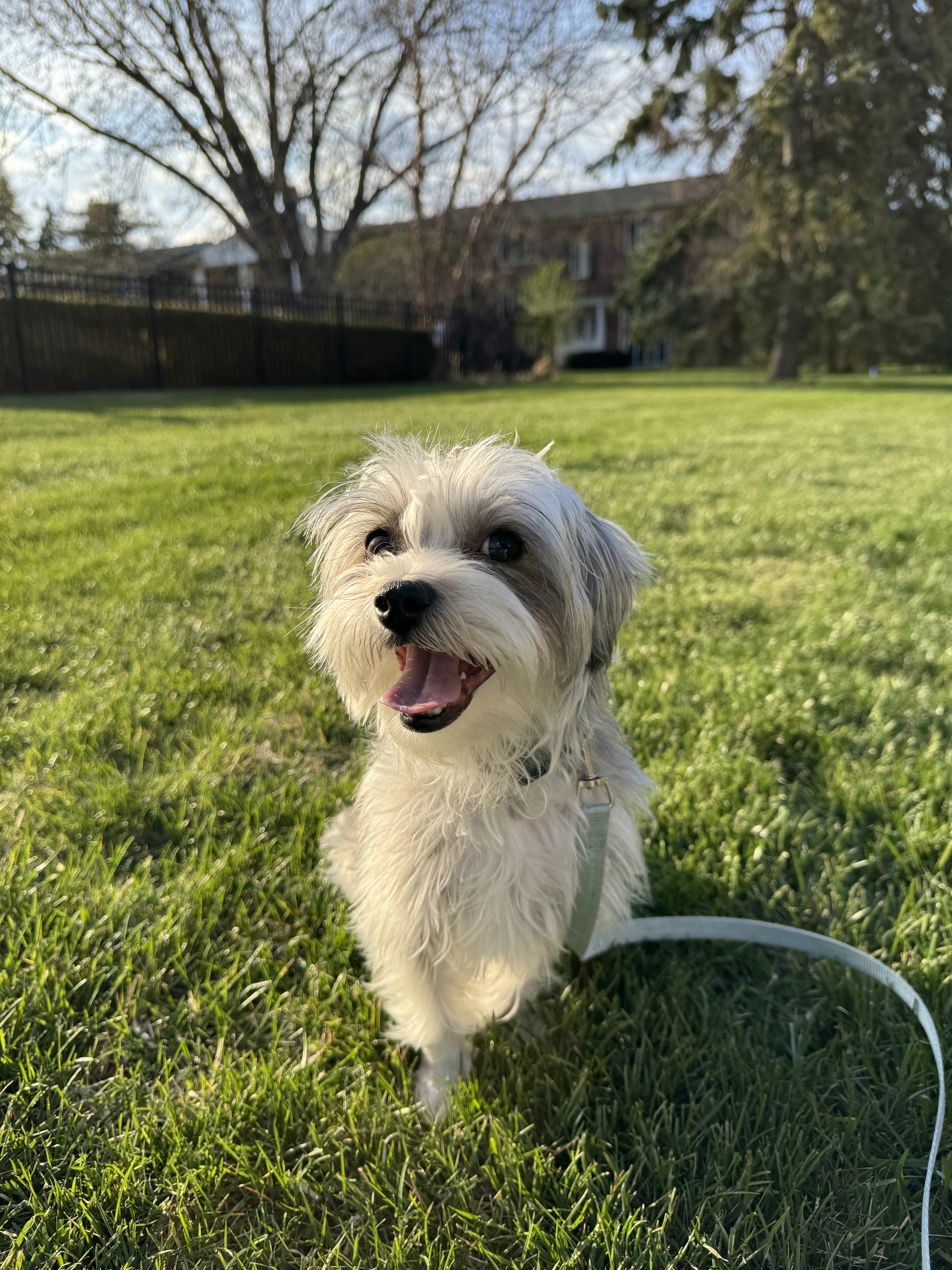 The image featured at the top of the about us page #1