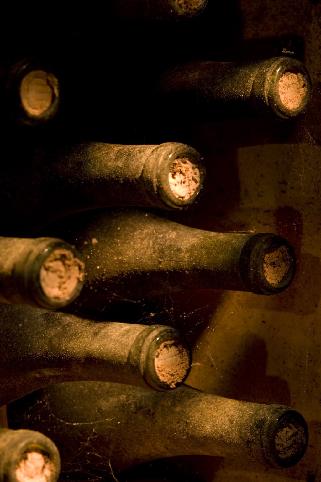 Bottles of Vino Nobile di Montepulciano lined up in a historic Tuscan wine cellar