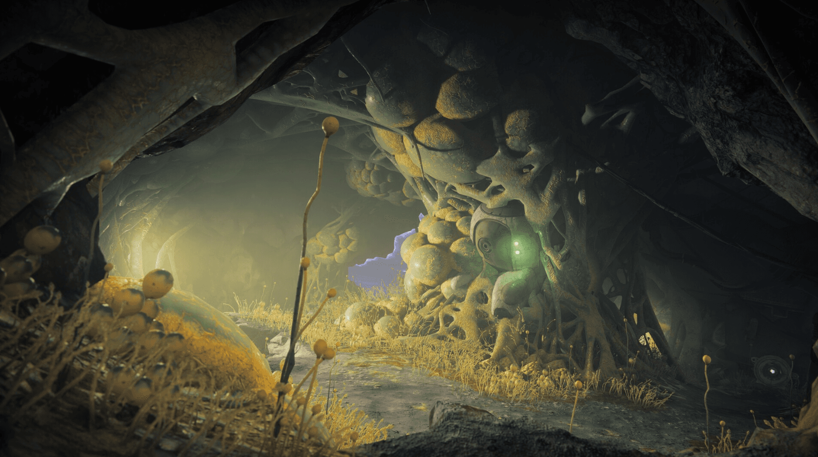 Screenshot Destiny 2 Année de la Prophétie PC – personnage dans grotte mystique avec lumière verte et formations rocheuses sur KeyVerse Gaming
