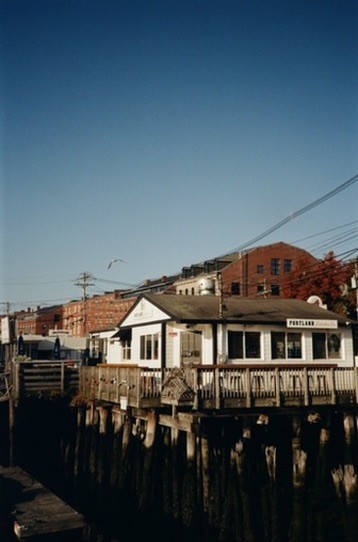 Trees with autumn leaves along a quiet waterway