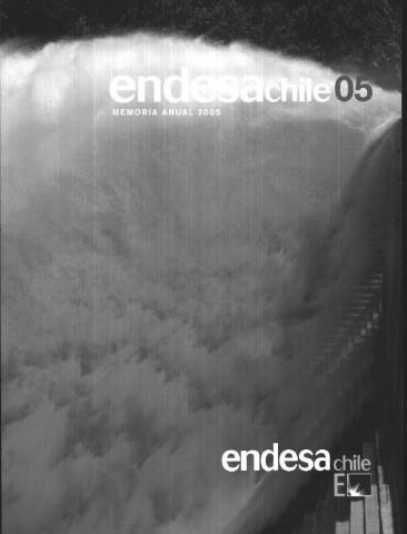 ENDESA CHILE S.A. Memoria anual.