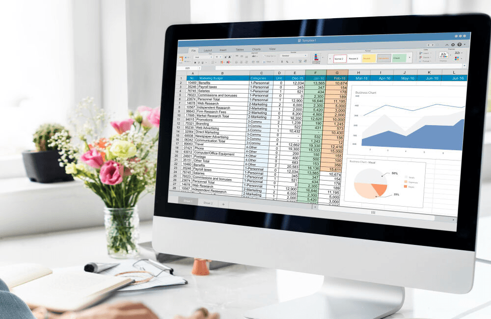 Computer monitor showing detailed spreadsheet charts - How to add VBA to Excel