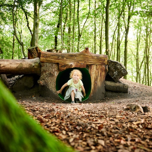 WOWパーク ビルン：ビルンでの入場チケット