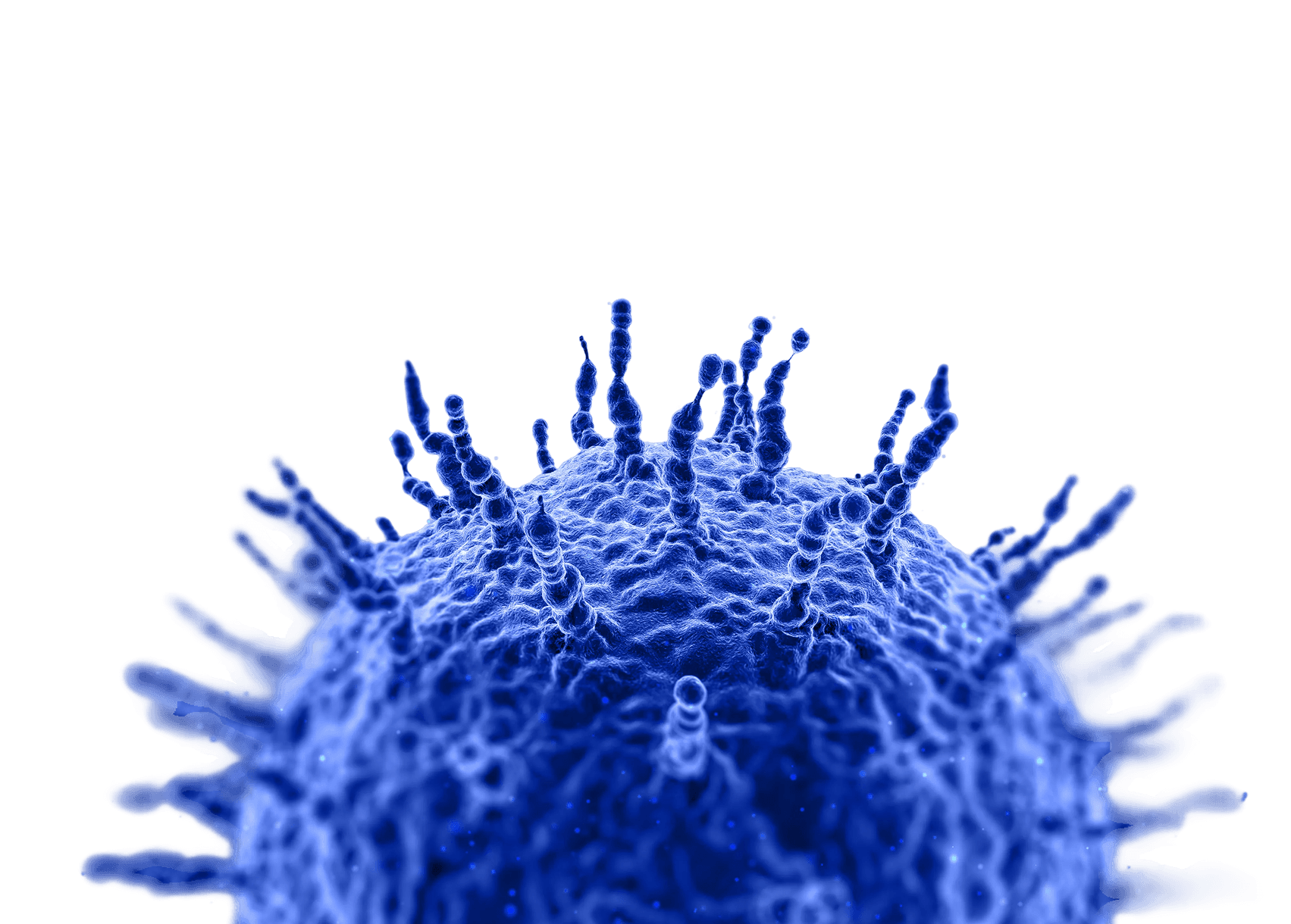 Close-up of a blue, spiky virus particle