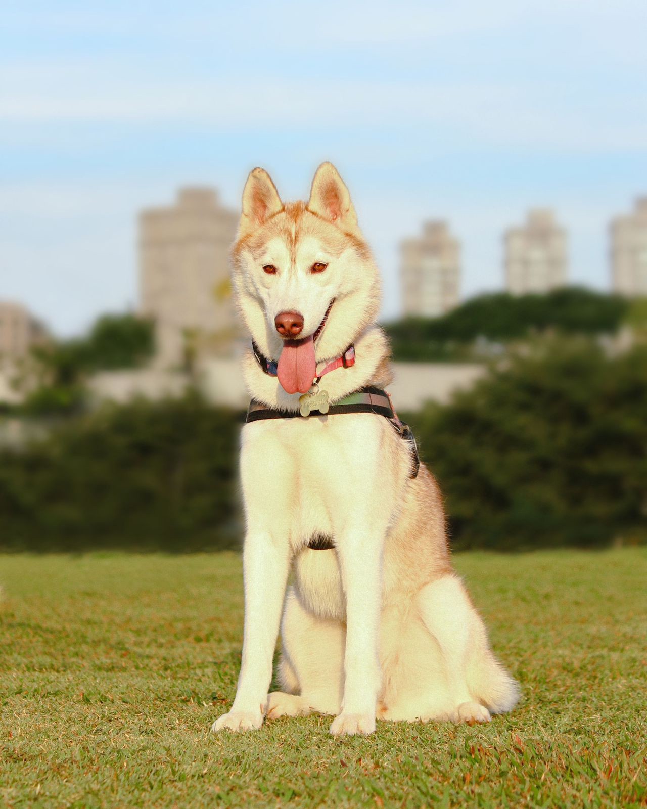 Portrait of portfolio creator – back view