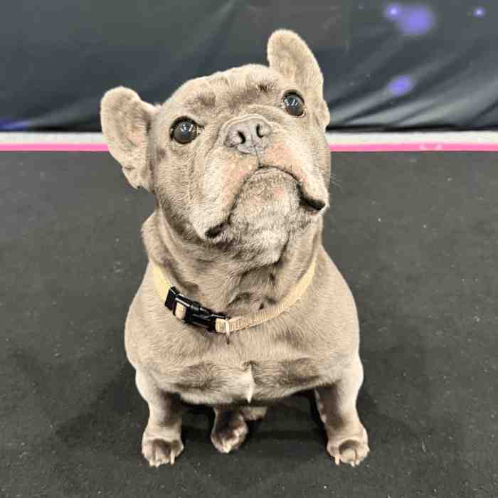 man in black crew neck shirt