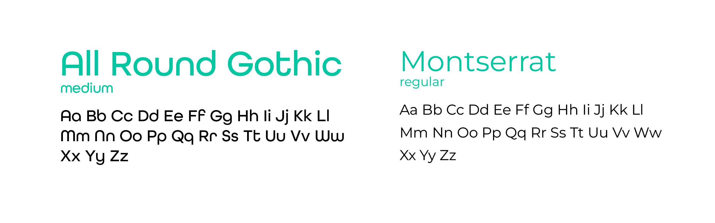 Chosen typography for the muvi brand