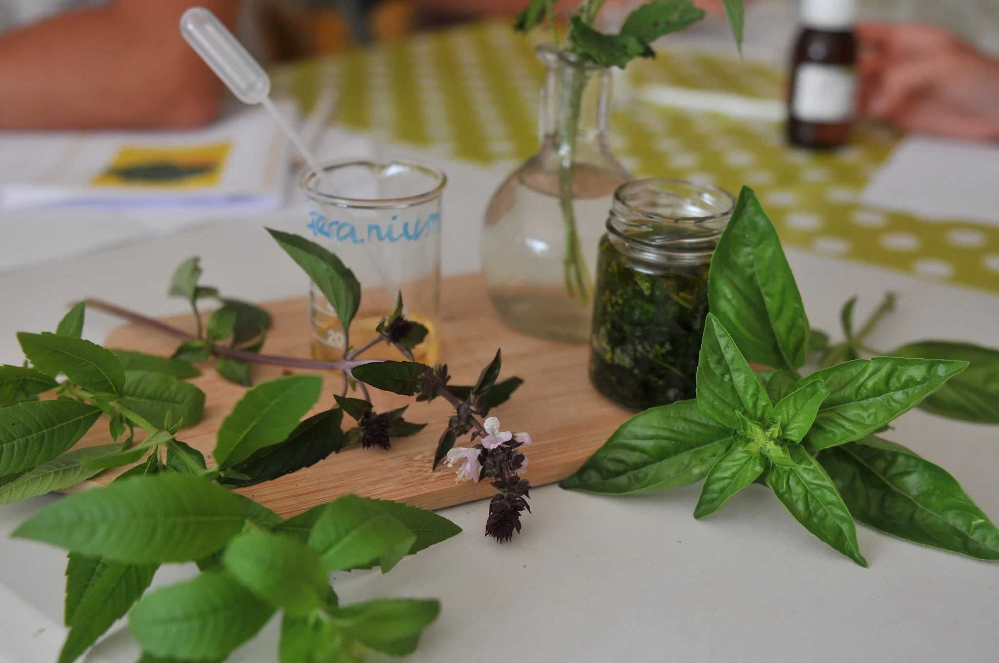 atelier-cosmétique-association-la-belle-verte
