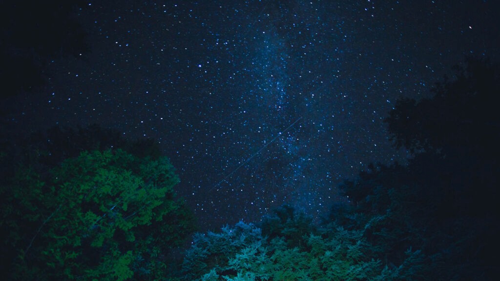 Nelson County Starry Night