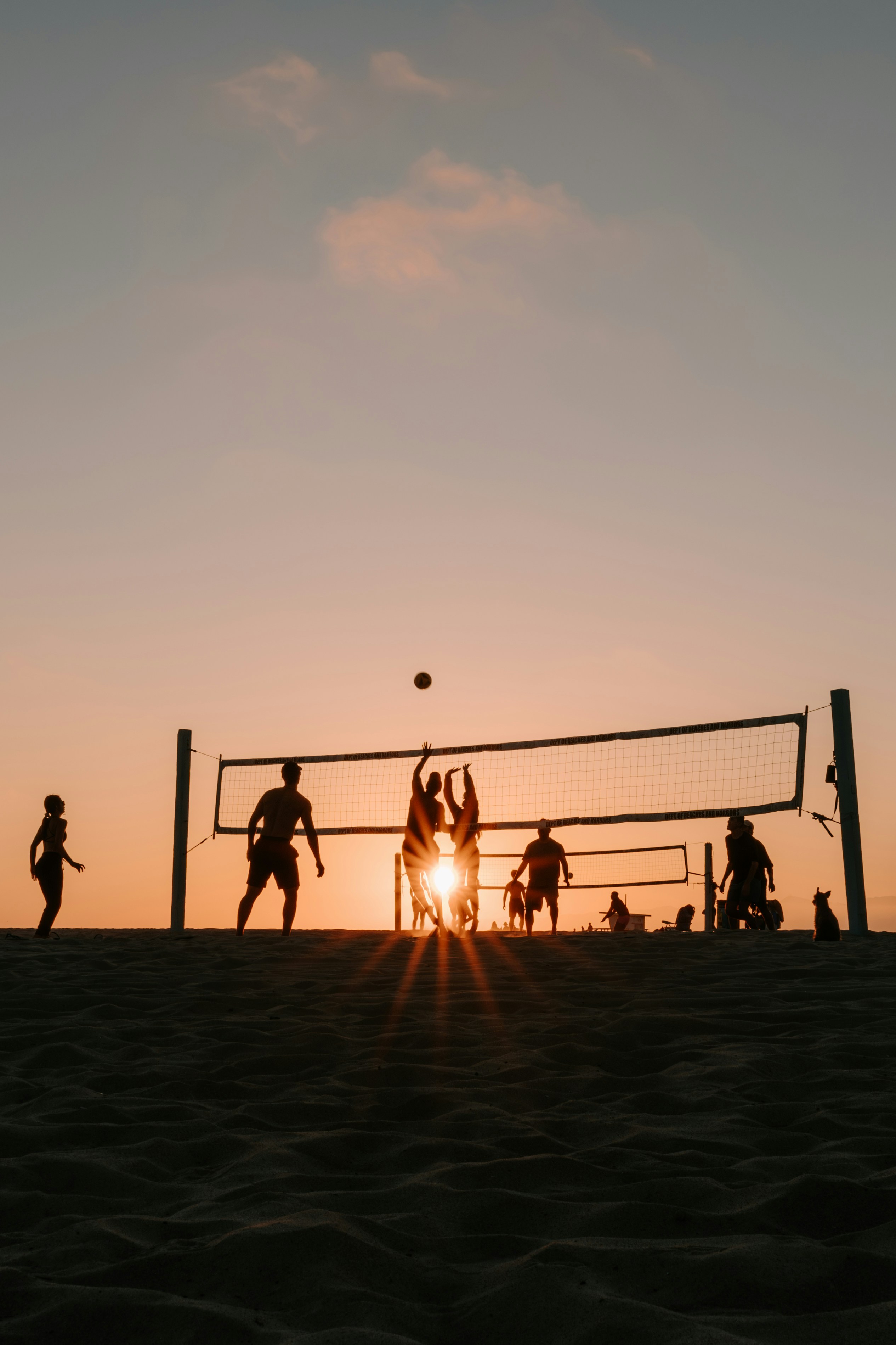 Man Wearing Sunglasses