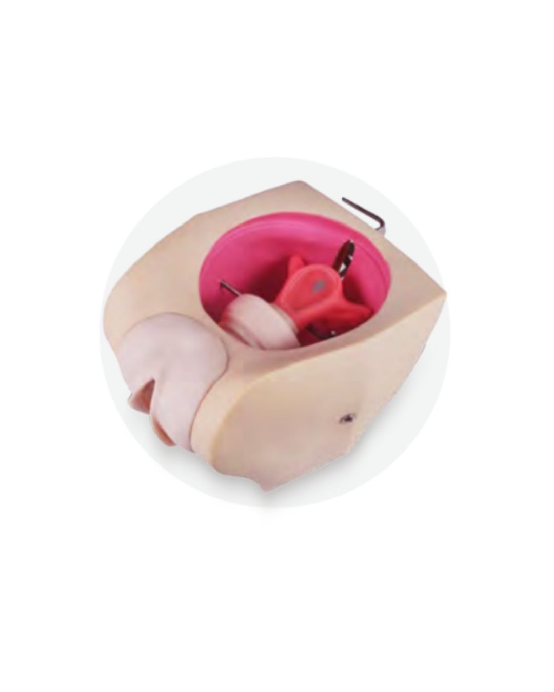 Advanced Female Contraception Model