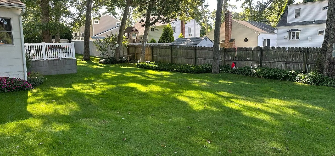 Green lawn with fence and home