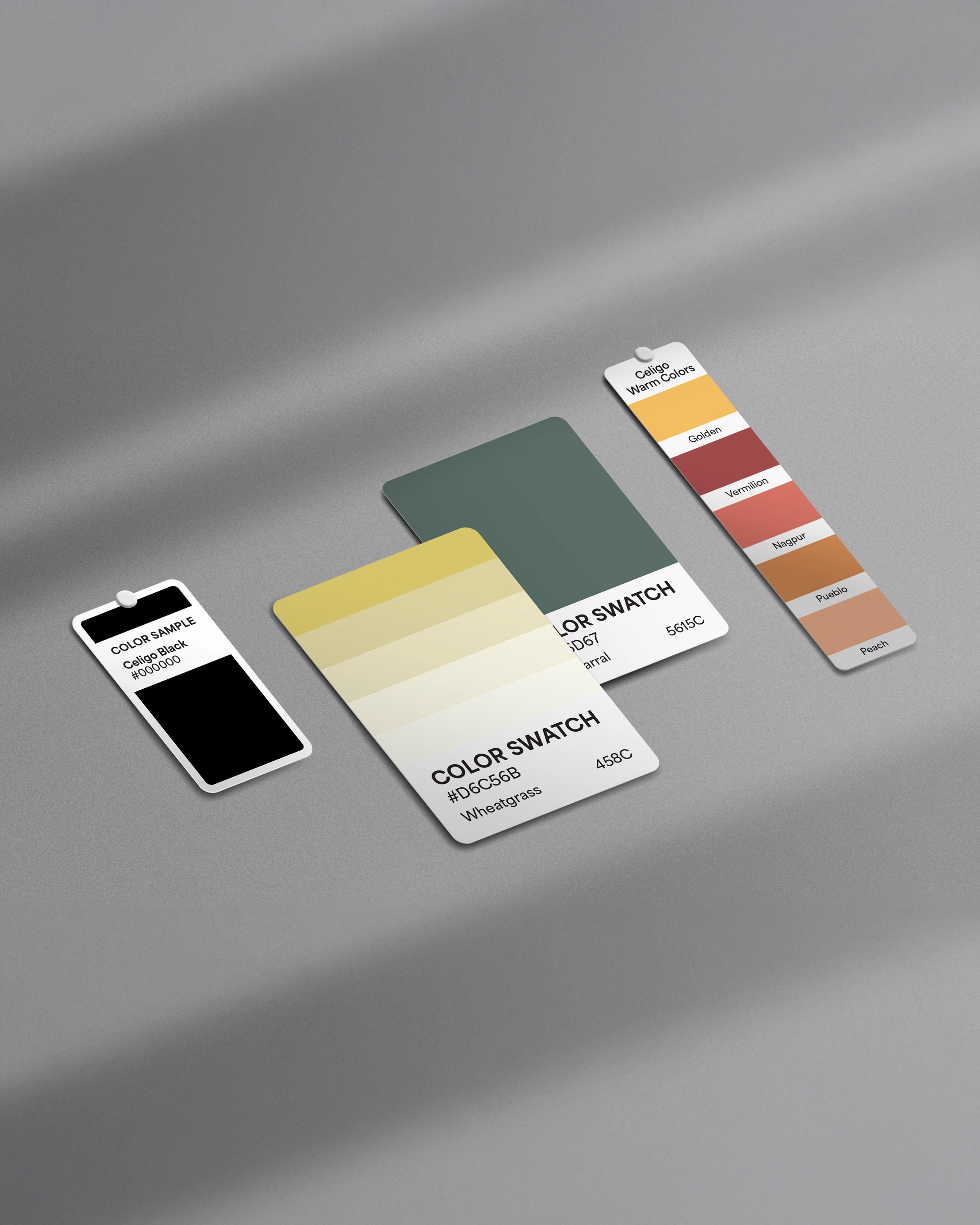 Professional photo of Celigo brand color palette