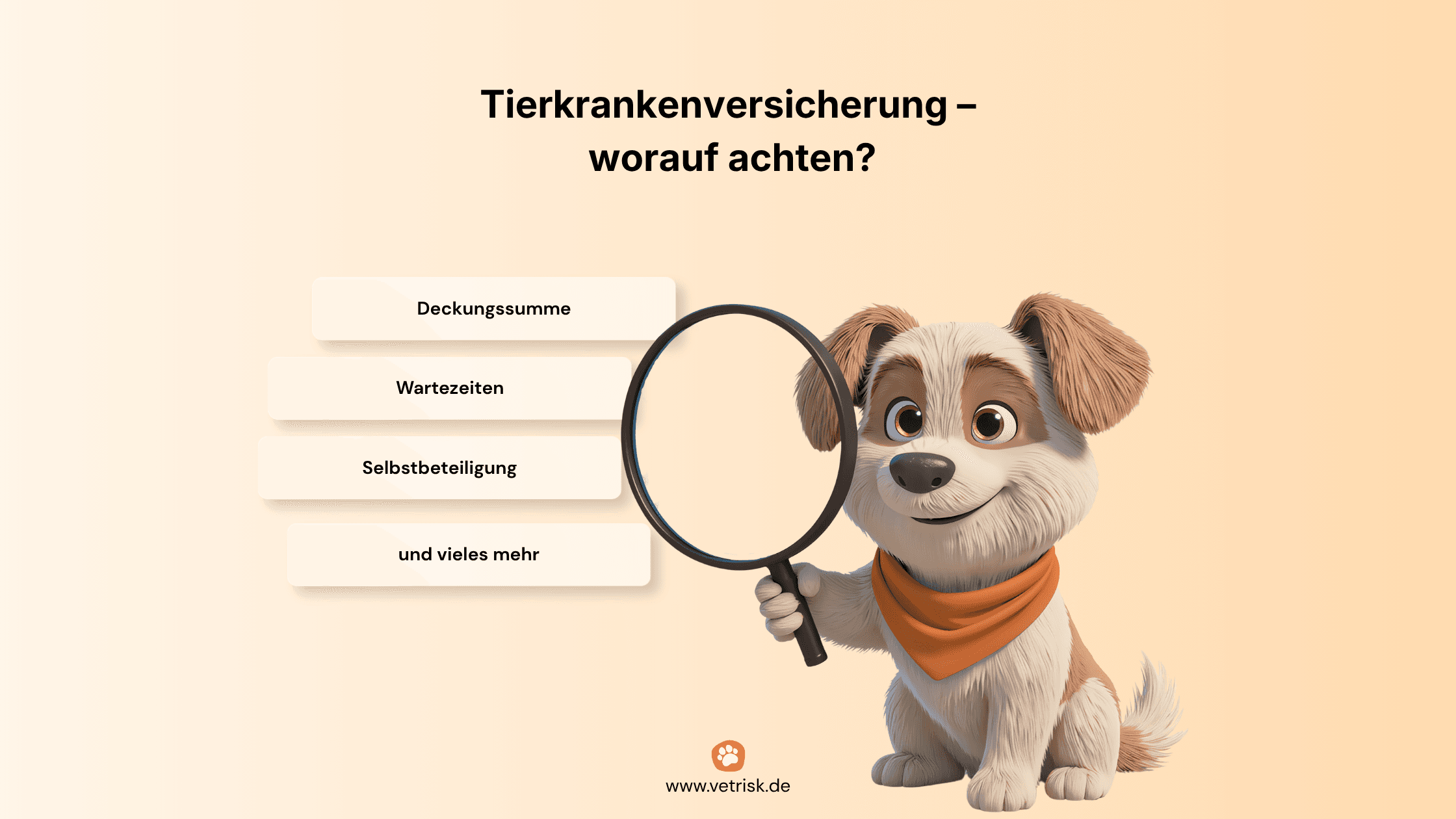 Finn, der VetRisk-Maskottchen-Hund, hält eine Lupe und zeigt wichtige Punkte beim Abschluss einer Tierkrankenversicherung: Deckungssumme, Wartezeiten und Selbstbeteiligung.