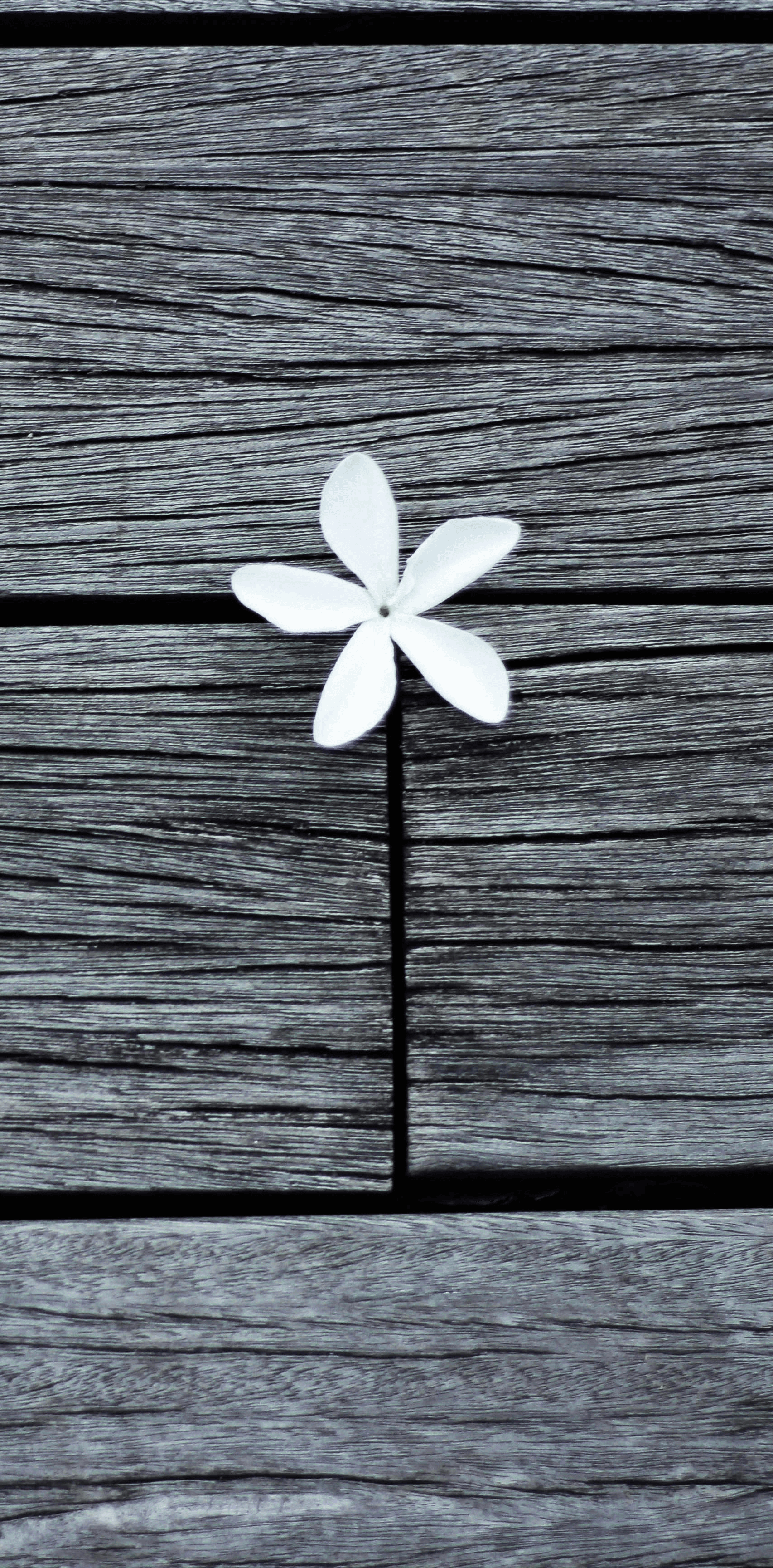 A modern office with a large window, a wooden desk, and three chairs.