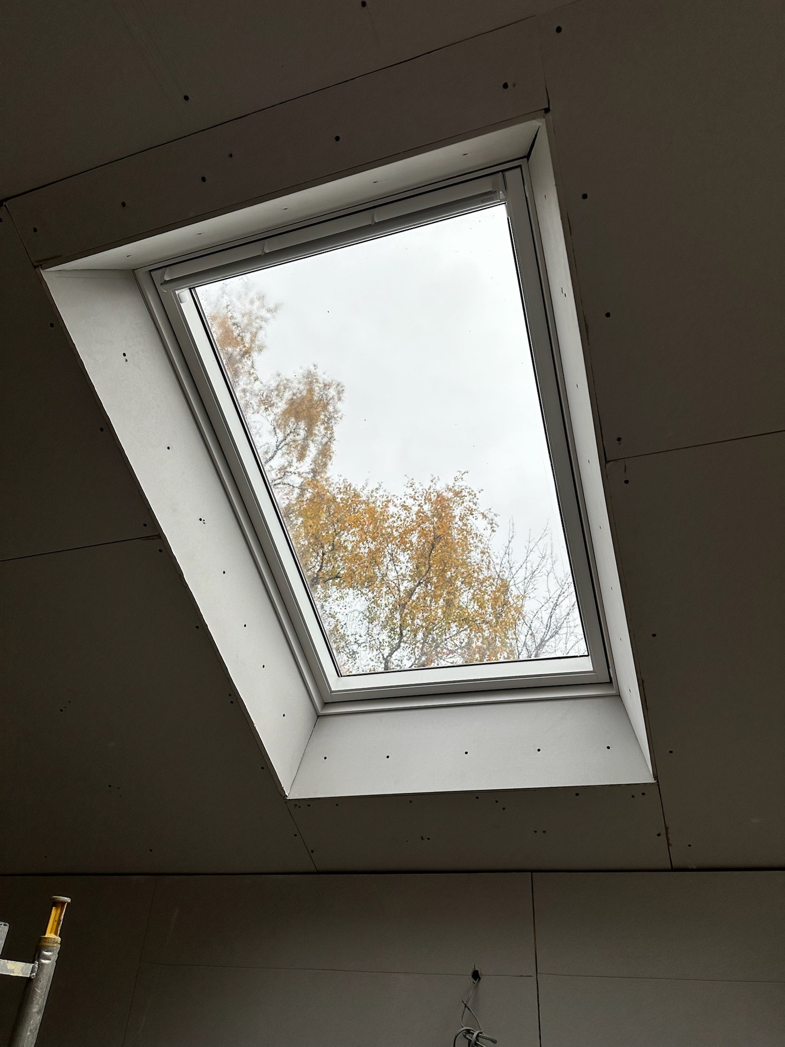 Bordered Velux window.